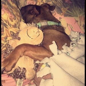 Meet your Posher, Kailie